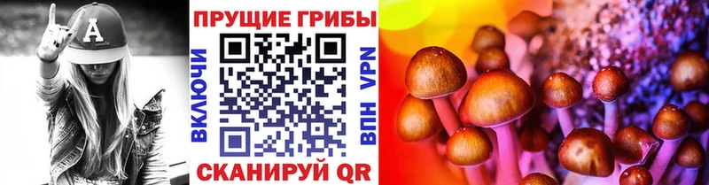 Псилоцибиновые грибы мицелий  Купить где  Камызяк 